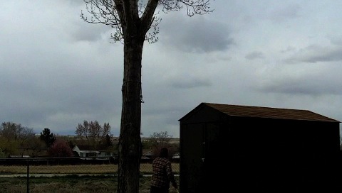 Flibitygiget 2 LowRez.m4v