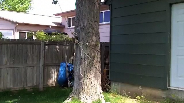 Flibitygiget Food Suspension.m4v